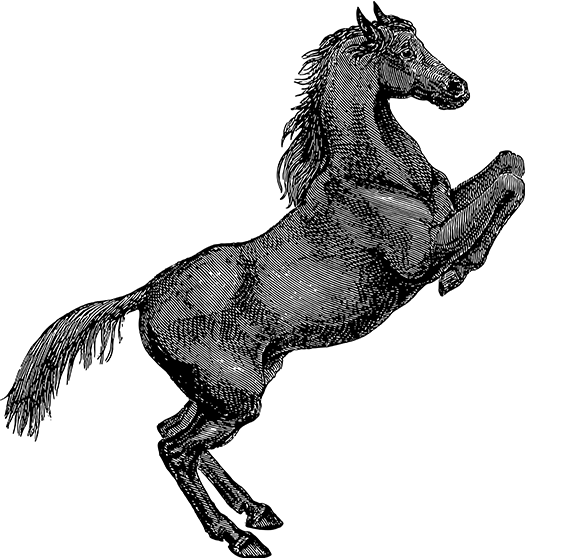 非凡·娱乐